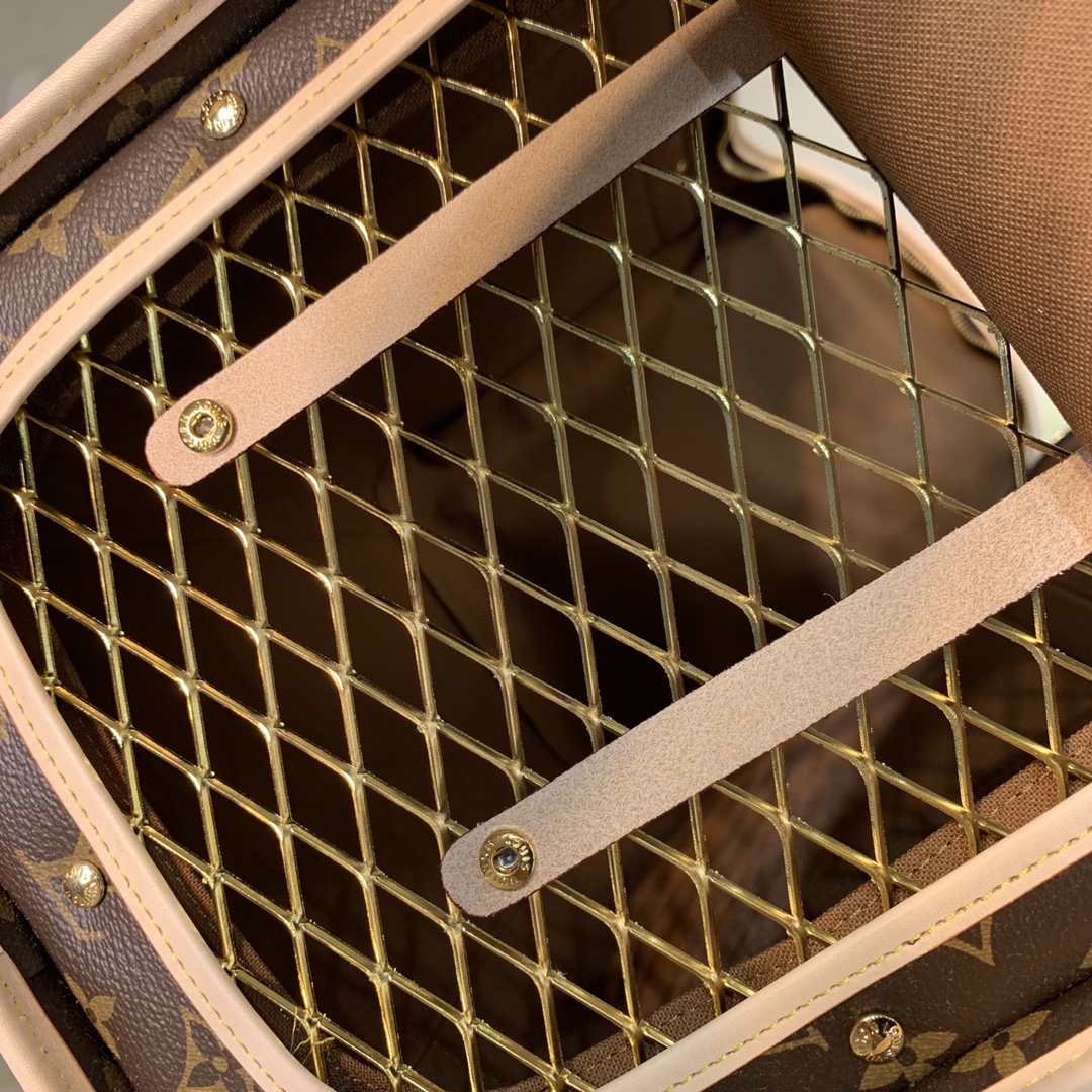LV Travel Bags